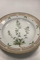 Royal Copenhagen Flora Danica Spisetallerken No. 624 ( 20 / 3549 )