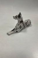 Tidlig Royal Copenhagen Figur af  Grand Danois No. 1679