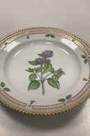 Royal Copenhagen Flora Danica Salat Tallerken No 20 / 3573