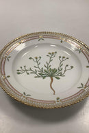 Royal Copenhagen Flora Danica Salat Tallerken No 20 / 3573
