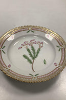 Royal Copenhagen Flora Danica Salat Tallerken No 20 / 3573