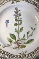 Royal Copenhagen Flora Danica plate with openwork edge No 20/3553