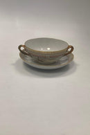 Royal Copenhagen Flora Danica Bouillon Kop med underskål No 20/3612