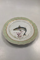 Royal Copenhagen Grøn Fisketallerken No 919/1710 med Scomber scomber