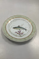 Royal Copenhagen Grøn Fisketallerken No 919/1710 med Clupea pilchcardus