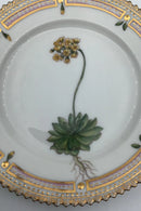 Royal Copenhagen Flora Danica Kuchenteller Nr. 20/3552.