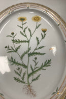 Royal Copenhagen Flora Danica Large Serving Dish No 374 or 3520