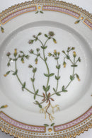 Royal Copenhagen Flora Danica Dessert Tallerken No 20/3551