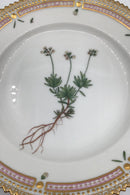 Royal Copenhagen Flora Danica Dessert Tallerken No 20/3551
