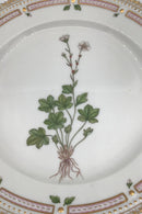 Royal Copenhagen Flora Danica Mittagsteller Nr. 20/3550