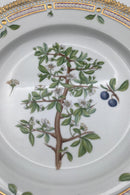 Royal Copenhagen Flora Danica Speiseteller Nr. 624 (20/3549)