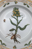 Royal Copenhagen Flora Danica Spisetallerken No. 624 (20/3549)