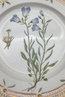 Royal Copenhagen Flora Danica Speiseteller Nr. 20/3549