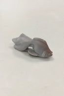 皇家哥本哈根的蛇尾图&