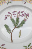 Royal Copenhagen Flora Danica Dessert Tallerken No. 20/3551