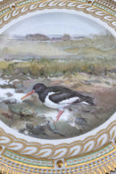 Royal Copenhagen Flora Danica Fuglestel Middagstallerken No 240/3549.