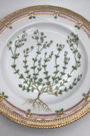 Tidlig Royal Copenhagen Flora Danica Spisetallerken No. 20 / 3549