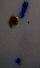 Antique Royal Copenhagen Blue Fluted Plain Dish