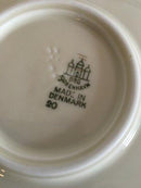 Bing &amp; Grondahl Aakjær大圆盘20号