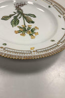 Royal Copenhagen Privat gemalt Flora Danica Essteller Nr 3549