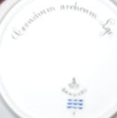 Royal Copenhagen Flora Danica Side Plate No 3552 (1)