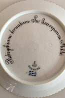 ロイヤルコペンハーゲンポーセリン・フローラ・ダニカ・プレート No 3552 (8)