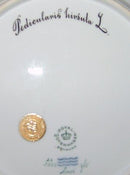 Royal Copenhagen Flora Danica Mittagessen Teller 20/3550 neue Nummer 622