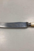 Raadvad Rustfri Spisekniv - 23,2 cm