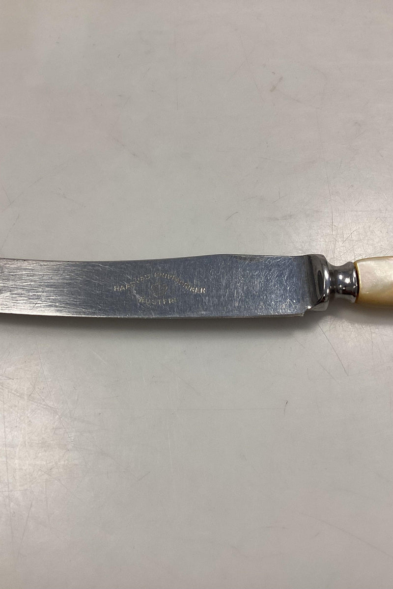 Raadvad Rustfri Spisekniv - 23,2 cm