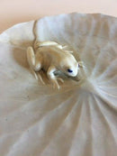 皇家哥本哈根新艺术风格的青蛙盘子。非常早期的版本