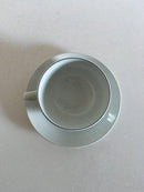 Royal Copenhagen Blåkant Thekop og Underkop No. 3074