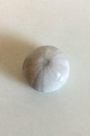 ロイヤルコペンハーゲン ウニの石化したような形のレタースケール