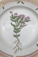 Royal Copenhagen Flora Danica Dessert Tallerken No. 20/3551