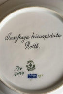 Royal Copenhagen Flora Danica Tiefer Teller Nr. 735/3545