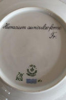 Royal Copenhagen Flora Danica Deep Plate No 735/3546