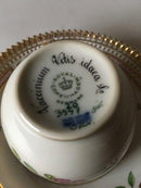 Royal Copenhagen Flora Danica Kaffekop og Underkop No 20/3597