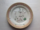 皇家哥本哈根Flora Danica蛋糕盘No 3552 罕见的Arnold Krog生产的1904-1908年产品