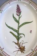 Royal Copenhagen Flora Danica Ovalt Serveringsfad No 20/3519