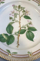 Royal Copenhagen Flora Danica Rundt Fad No 3524 (Pre 1923)