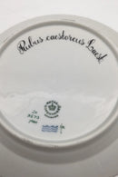 Royal Copenhagen Flora Danica Salat Tallerken No 20/3573