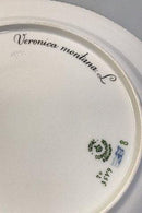 ロイヤルコペンハーゲン フローラダニカプレート No 20/3549