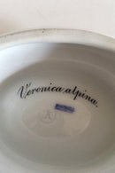 早期的皇家哥本哈根Flora Danica盐罐，编号3557，来自1870年代