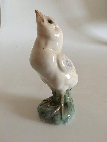 Royal Copenhagen Figur Kalkun Unge No 1185 Pre 1923