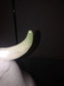 Bing & Grøndahl Cockatoo Figur med slange No 1740