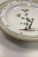 Royal Copenhagen Privat gemalt Flora Danica Essteller Nr 3549