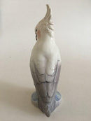 Dahl Jensen 鹦鹉图1051号