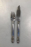 Georg Jensen Sterling Sølv Konge Fiskebestik No 061/062