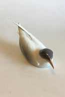 皇家哥本哈根的Terne图&