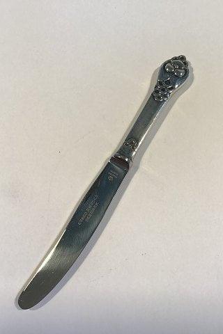 Evald Nielsen No. 2 Frugtkniv / Barnekniv i Sterling Sølv og Rustfrit Stål