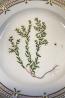 Royal Copenhagen Flora Danica Mittagsteller Nr. 20/3550